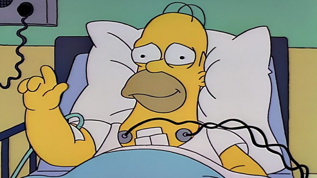 Homer Simpson (The Simpsons)